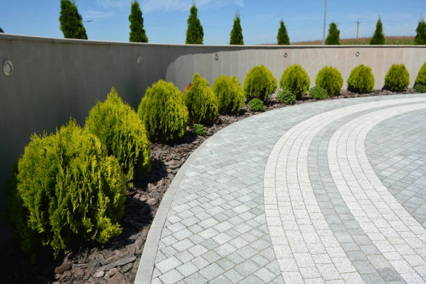 Reasons to Select Us for Your Driveway Paving Requirements in Traverse City, MI